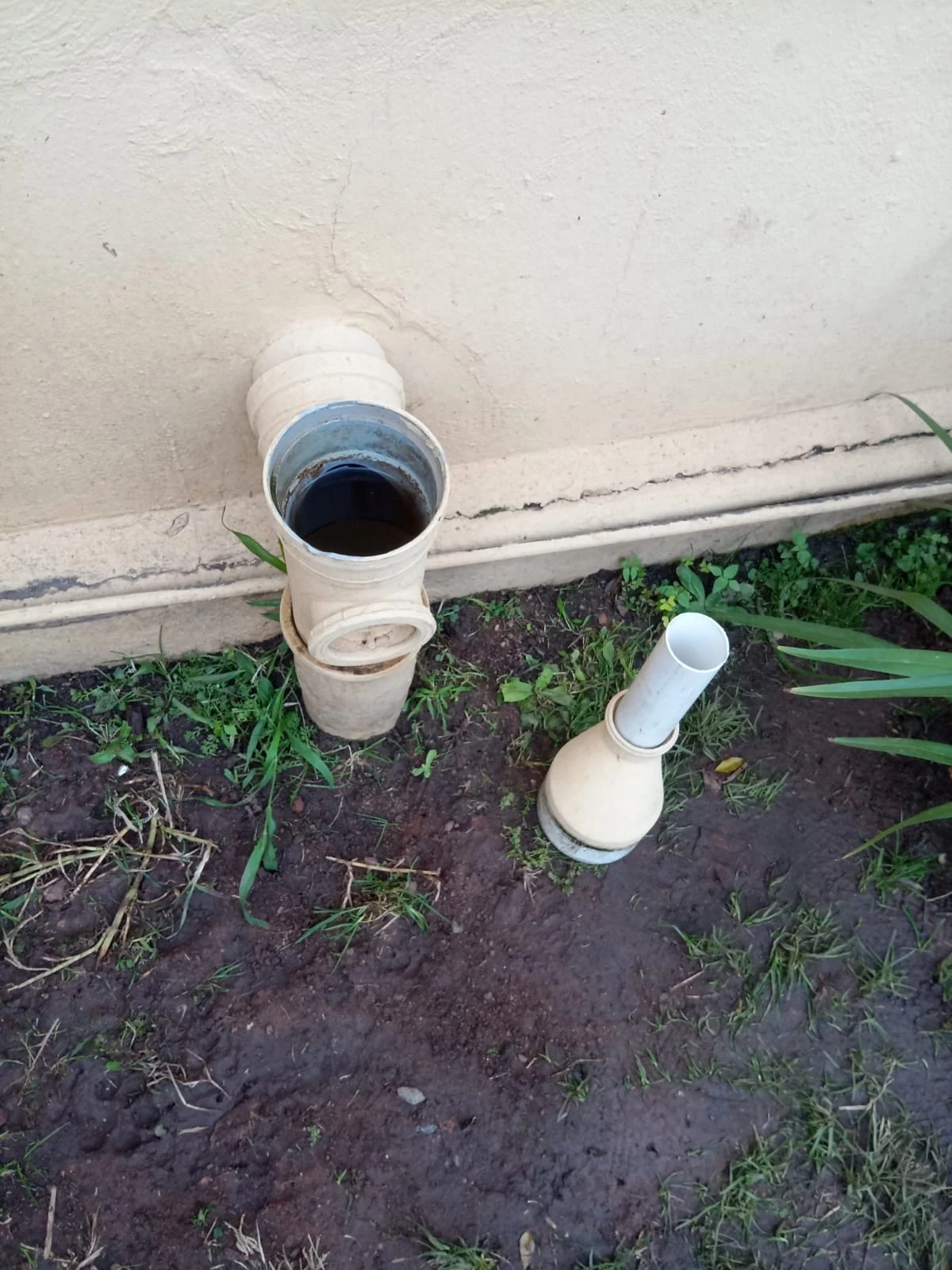 Can a plumber get rid of sewer smell?