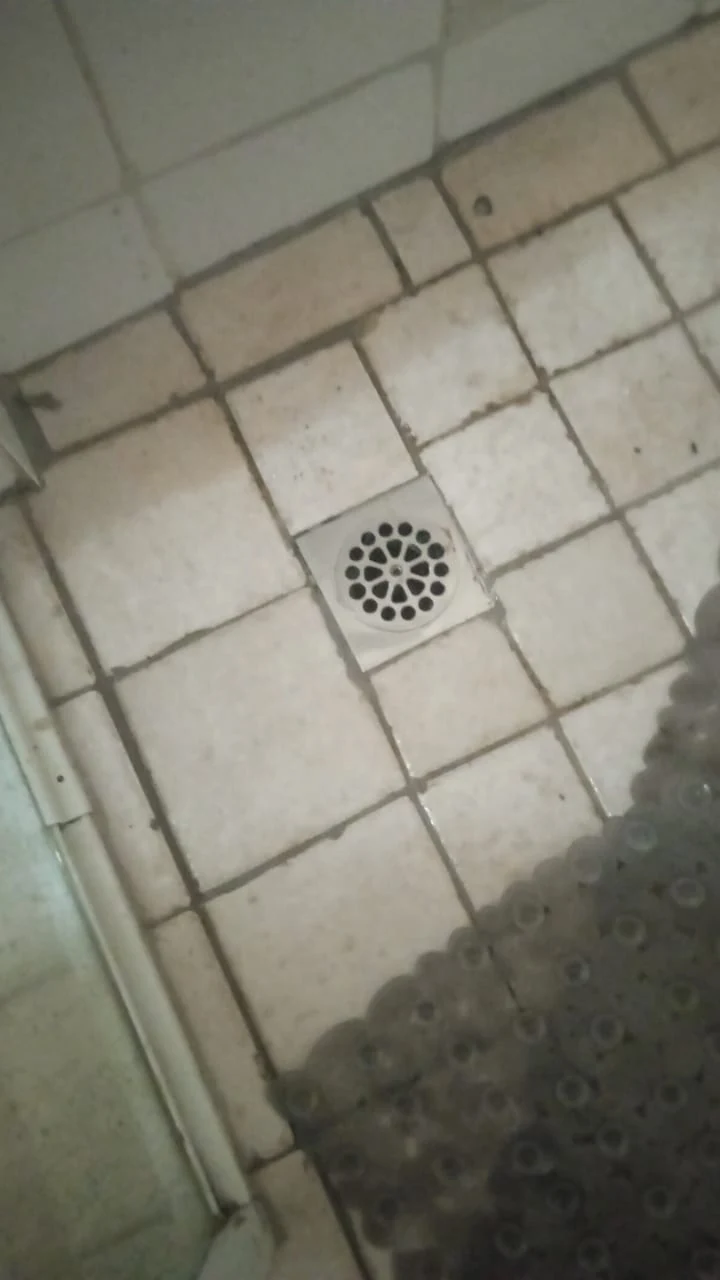 Can I fix a sewage smell myself?