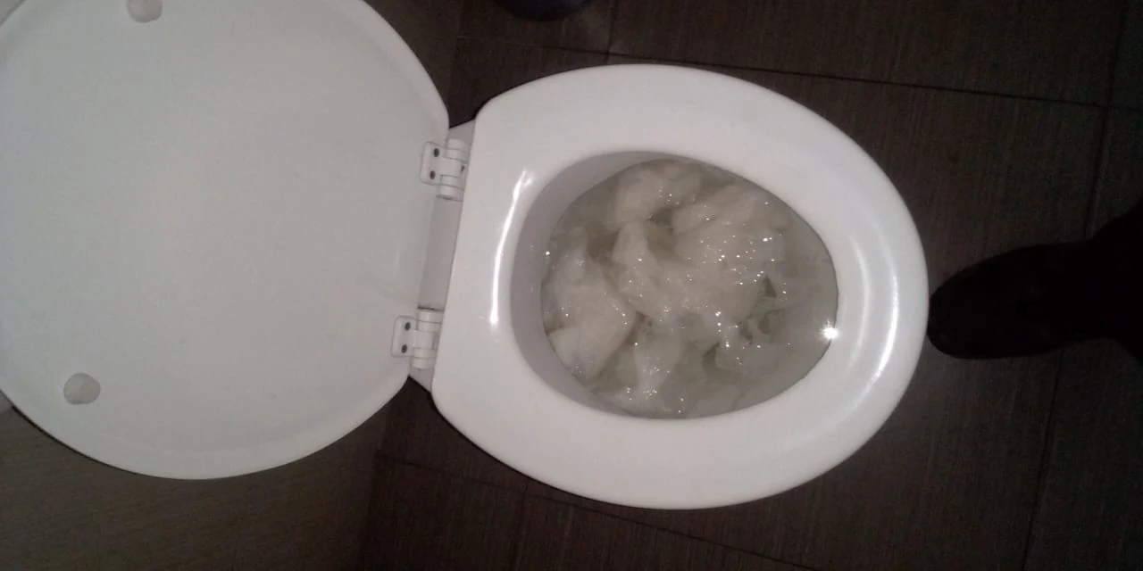 Can I unblock a toilet myself, or do I need a plumber?