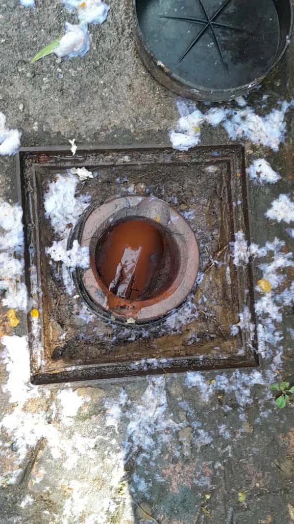 Grease Buildup Drain Cleaning Prevention Guide