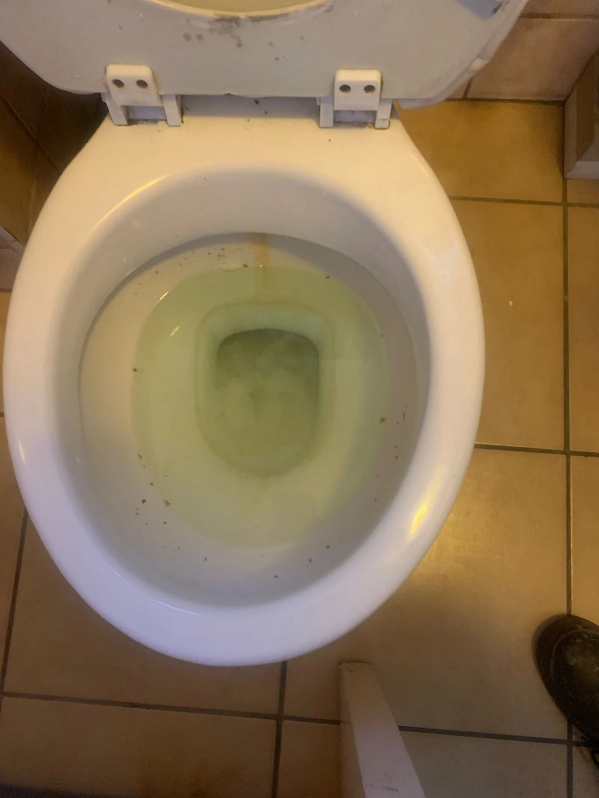 How can I tell if my toilet is clogged?