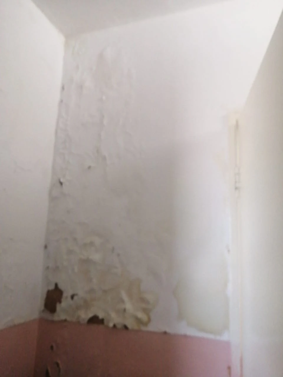 How do water leaks lead to mold and respiratory problems?