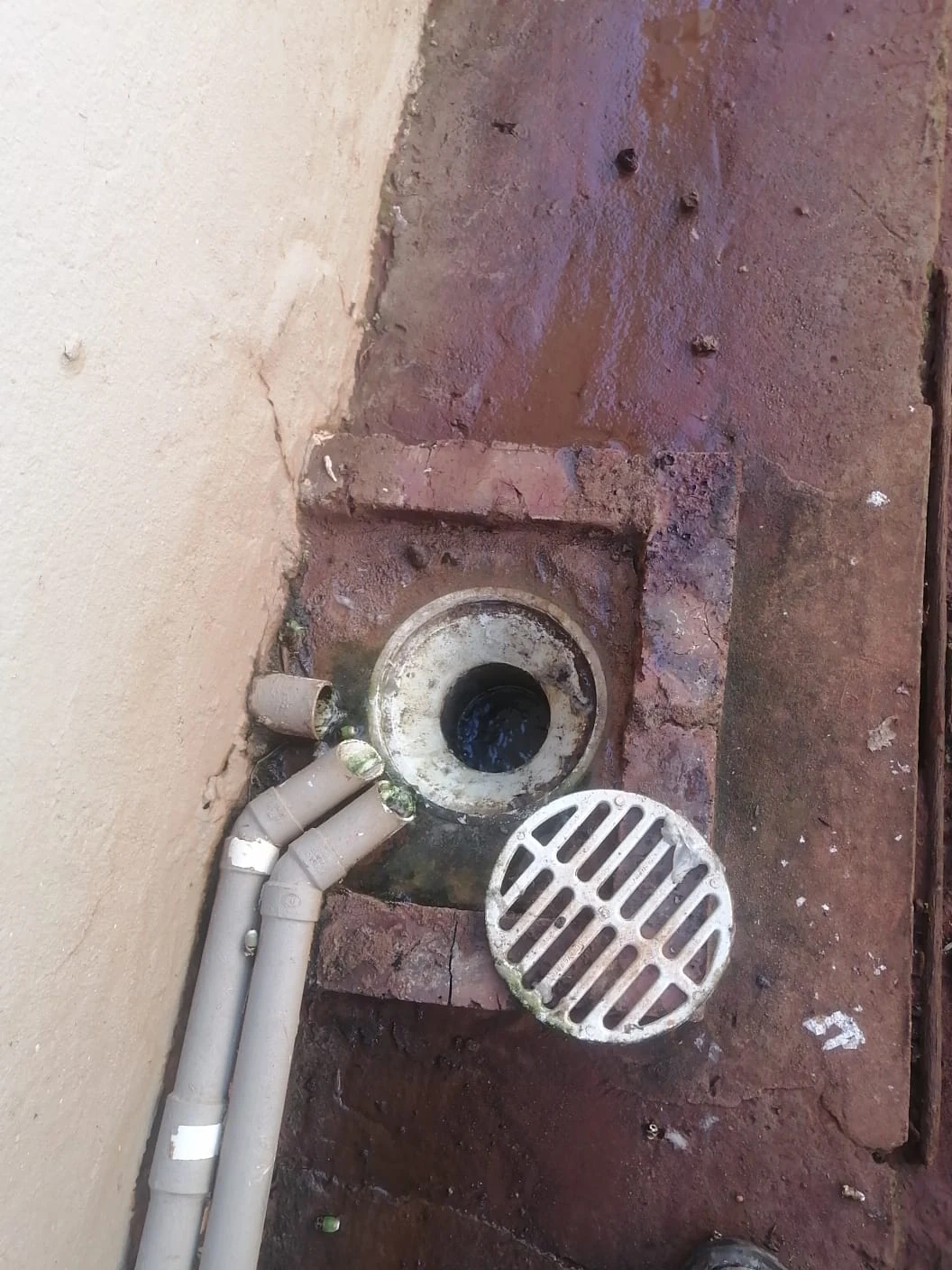 How Often Should I Clean My Drains?