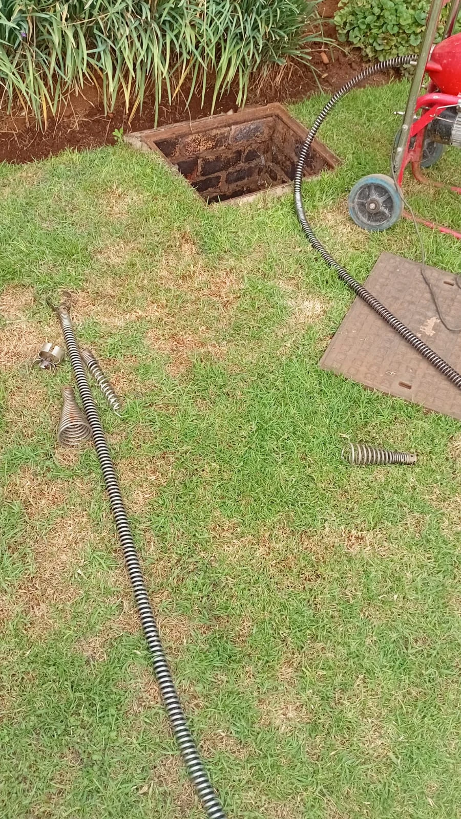 How to Protect Your Home’s Plumbing from Tree Roots