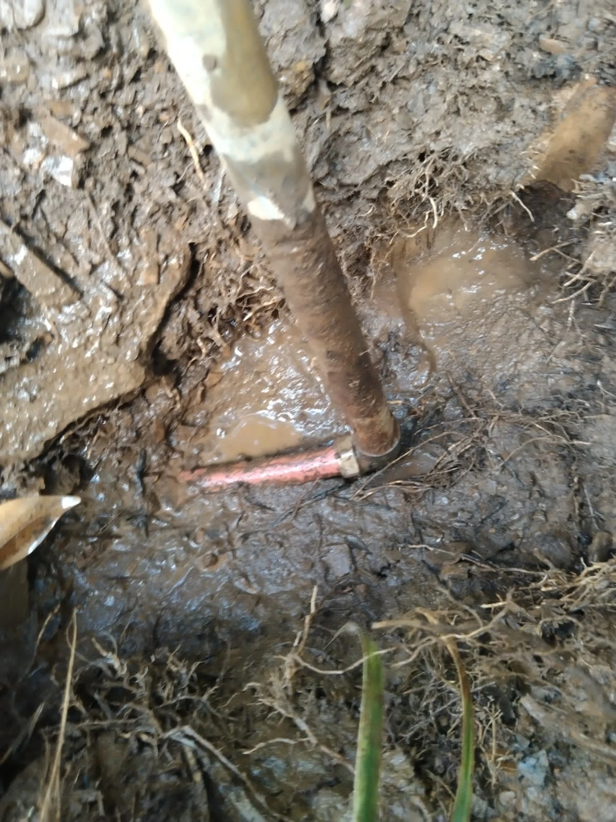 Saving water when you have a plumbing emergency