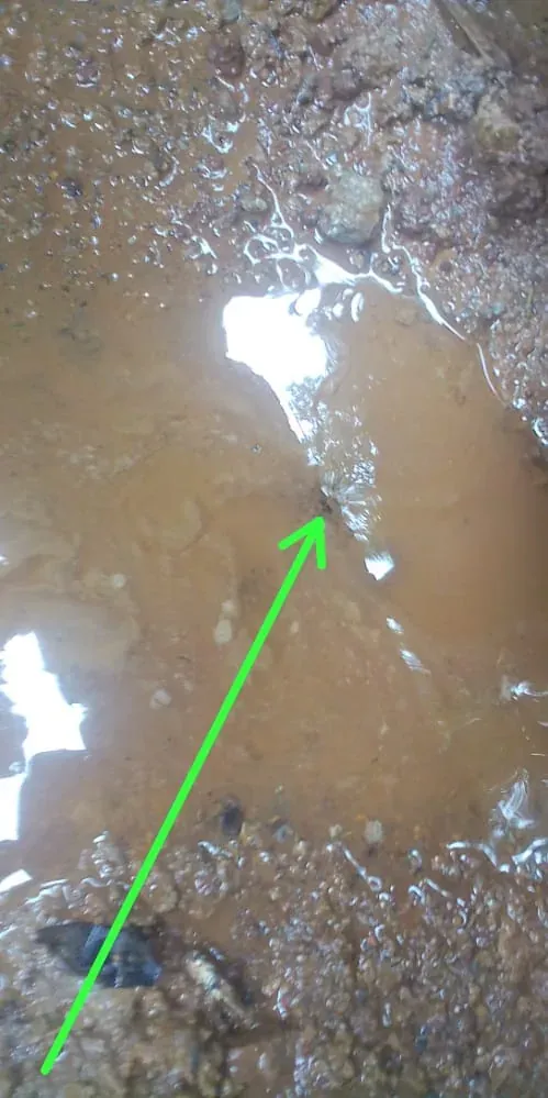 Targeted paving excavation exposing an underground pipe leak